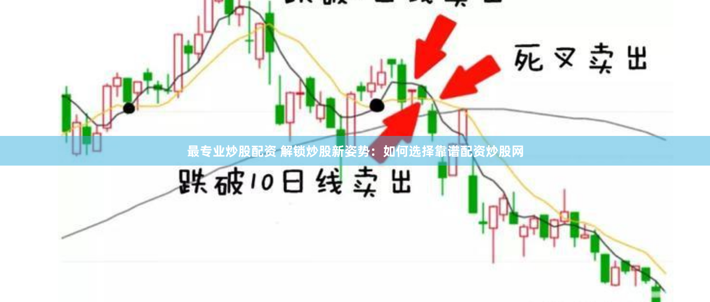 最专业炒股配资 解锁炒股新姿势：如何选择靠谱配资炒股网